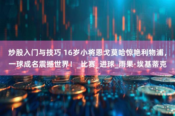 炒股入门与技巧 16岁小将恩戈莫哈惊艳利物浦，一球成名震撼世界！_比赛_进球_雨果·埃基蒂克