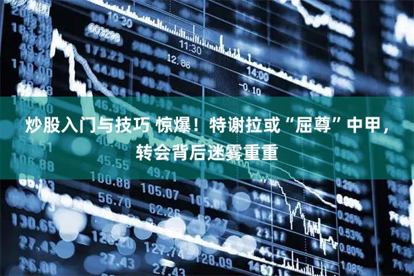 炒股入门与技巧 惊爆！特谢拉或“屈尊”中甲，转会背后迷雾重重