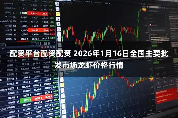 配资平台配资配资 2026年1月16日全国主要批发市场龙虾价格行情